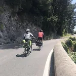 Trifoglio * مايوري