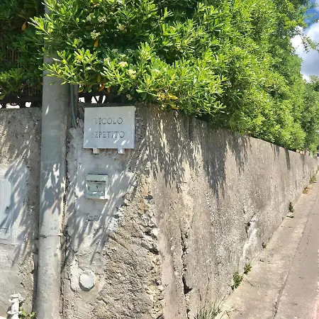 Trifoglio *